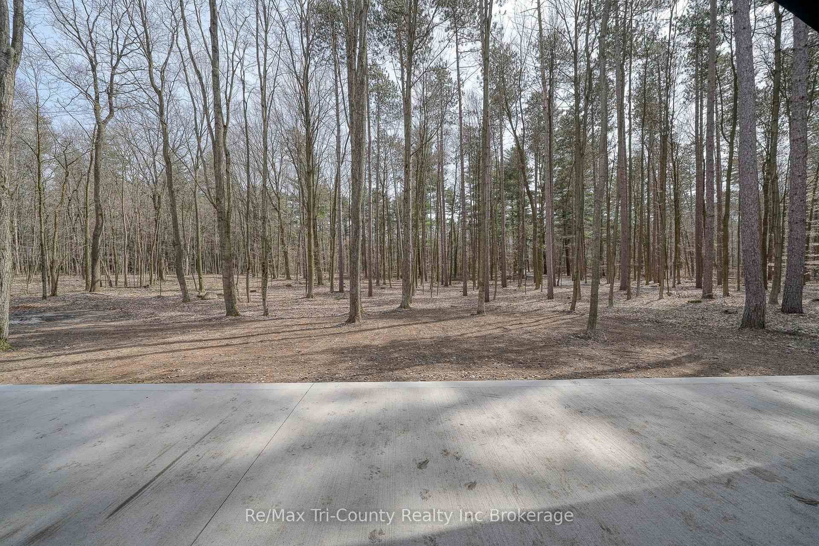 Listing Image 37