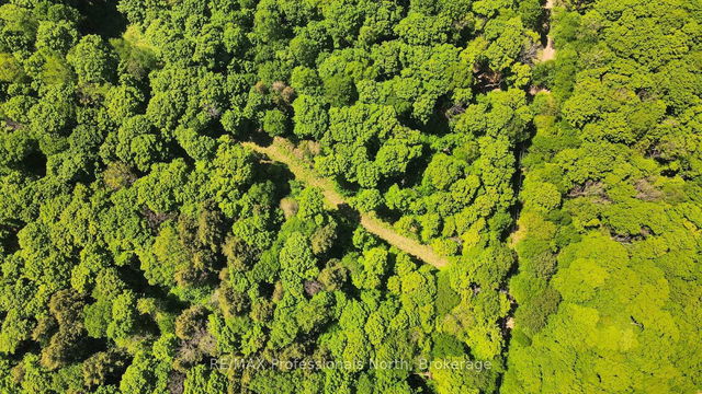 Lot 165 Glen Lake Court