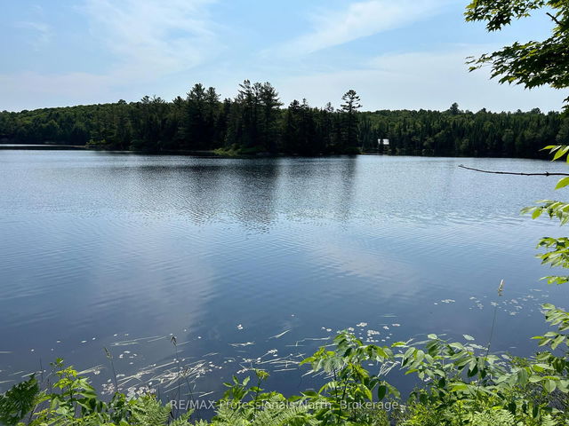 0 BRADY LAKE Road