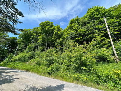  BRADY LAKE Rd, Minden Hills - Hindon image-0-2