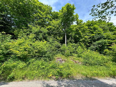  BRADY LAKE Rd, Minden Hills - Hindon image-0-3