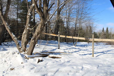 494 Twin Sister Lakes Rd, Limoges - Marmora Ward image-0-2