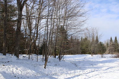 494 Twin Sister Lakes Rd, Limoges - Marmora Ward image-0-3