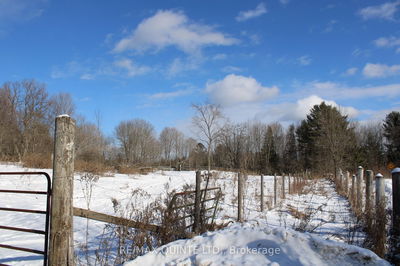 494 Twin Sister Lakes Rd, Limoges - Marmora Ward image-0-4