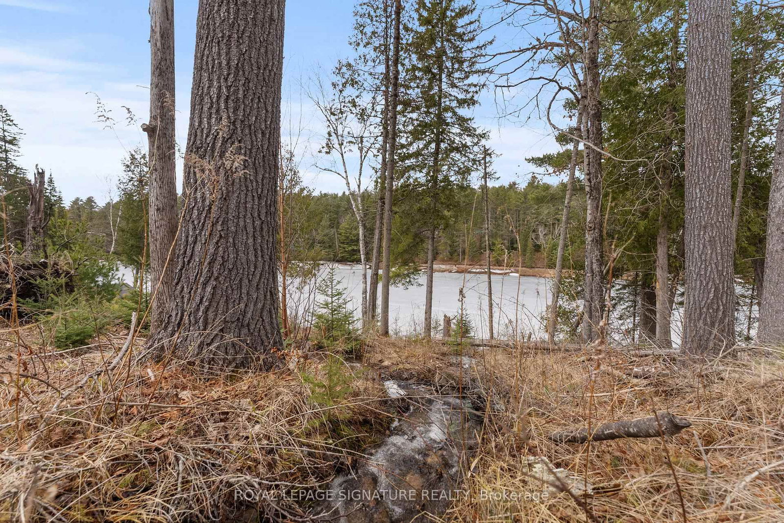Listing Image 42