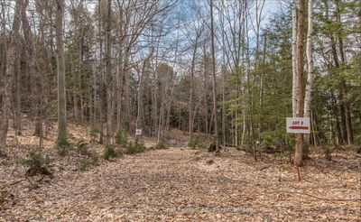 Unit LOT C — 364 STANLEY HOUSE Rd, Seguin - Seguin image-0-2