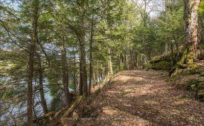 Unit LOT C — 364 STANLEY HOUSE Road — photo 6