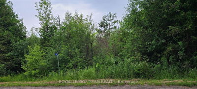 1194 PIONEER Rd, Merrickville-Wolford - Merrickville/Wolford Twp image-0-4