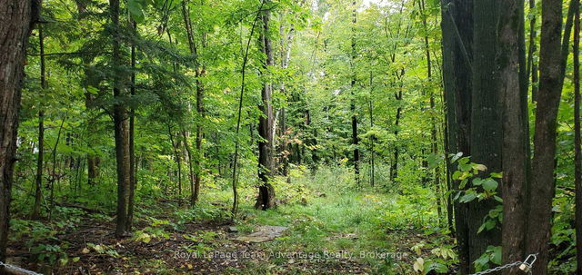 22 SUNNYSHORE PARK Drive
