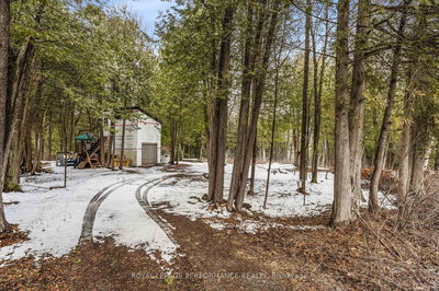 8441 Cooper Hill Rd, Metcalfe - Osgoode Twp North of Reg Rd 6 image-0-3