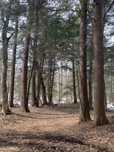  Kashagawigamog Lake Rd, Minden Hills - Minden