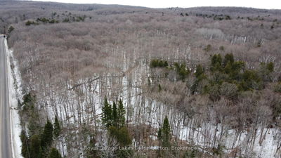  Kashagawigamog Lake Rd, Dysart et al - Dysart image-0-2
