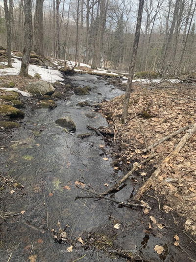  Kashagawigamog Lake Rd, Dysart et al - Dysart image-0-3