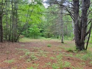 168 Airport Rd, Bancroft - Faraday image-0-0