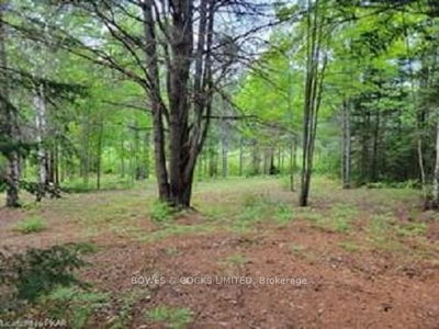 168 Airport Rd, Bancroft - Faraday image-0-1
