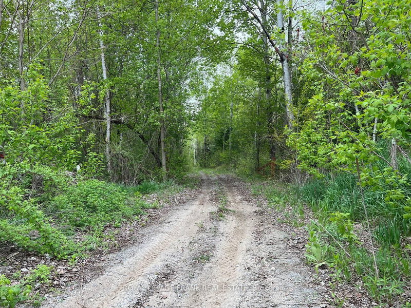 . Rutherford Road