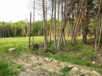 20833 Hwy 118, Highlands East - Cardiff Ward image-0-3