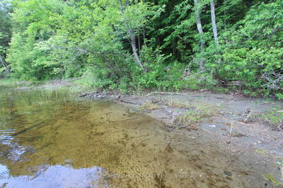  Tangamong Rd, Limoges - Lake Ward image-0-1