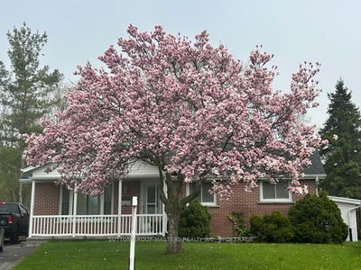 146 Harvard Pl, Loyalist - Amherstview image-0-1