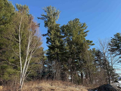 272 Mask Island Dr, Barry's Bay - Madawaska Valley image-0-4