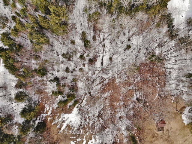 0 Unopened Road Allowance