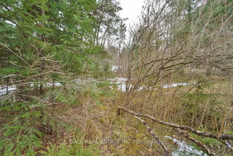 0 Unopened Road Allowance, Bancroft, K0L 1C0 | Image 3