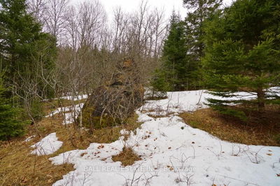  Unopened Road Allowance, Bancroft - Faraday image-0-4