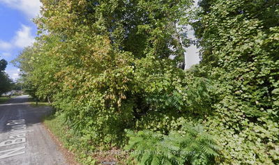 N/A North Bayou Rd, Kawartha Lakes - Verulam image-0-3