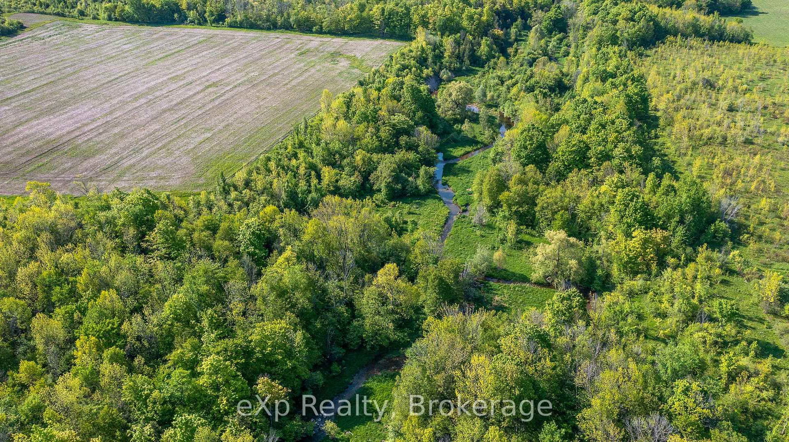 E 1/2 LT 29-30 CON 4; Sideroad 30 - Photo 8