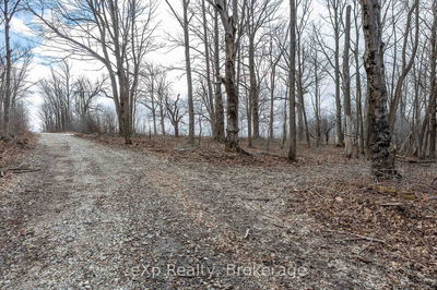 PTLT 29 CON 1S, St. Vincent-Sydenham Townline, Meaford - Meaford image-0-1