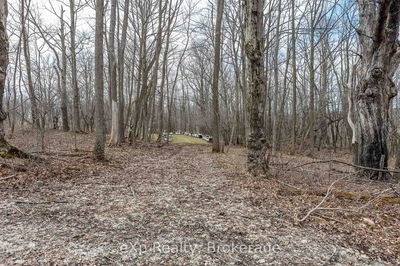 PTLT 29 CON 1S, St. Vincent-Sydenham Townline, Meaford - Meaford image-0-2
