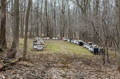 PTLT 29 CON 1S, St. Vincent-Sydenham Townline, Meaford - Meaford image-0-3