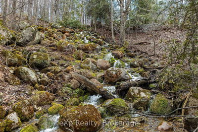 PTLT 29 CON 1S, St. Vincent-Sydenham Townline, Meaford - Meaford image-0-4