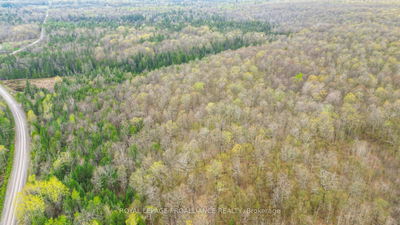  Spry Settlement Rd, Limoges - Rawdon Ward image-0-3