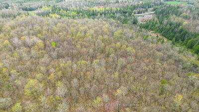  Spry Settlement Rd, Limoges - Rawdon Ward image-0-4