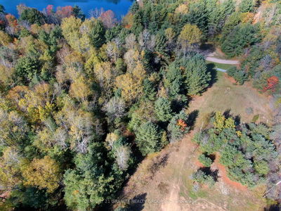 26457 Hwy 62 Highway, Bancroft - Dungannon Ward image-0-3