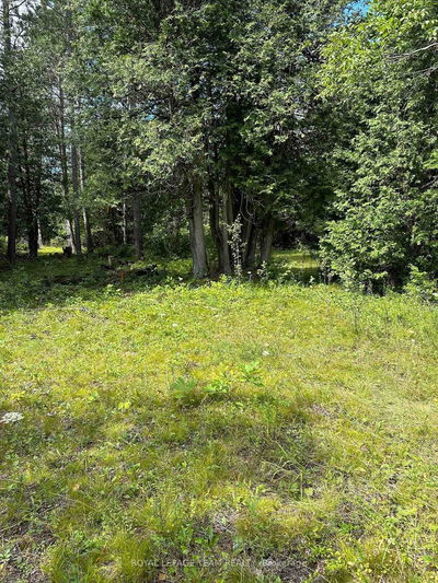 Lot 23 DWYER HILL Rd, Ashton - Rideau Twp South To Roger Stevens Drive image-0-3
