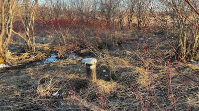 681044 260 Sdrd, Melancthon - Rural Melancthon image-0-1