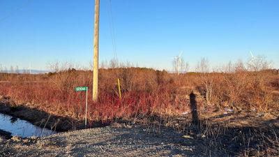 681044 260 Sdrd, Melancthon - Rural Melancthon image-0-2