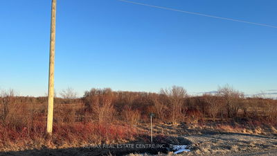 681044 260 Sdrd, Melancthon - Rural Melancthon image-0-4