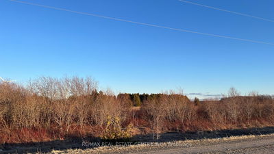 LT18-31 260 Sdrd, Melancthon - Rural Melancthon image-0-3