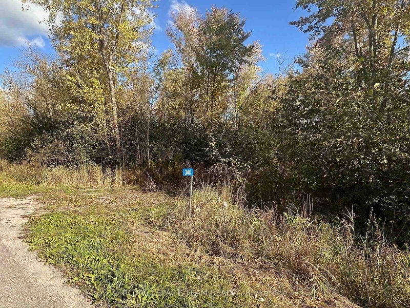 340 Armstrong Rd, Merrickville-Wolford - Merrickville/Wolford Twp image-0-0