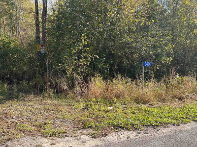 340 Armstrong Rd, Merrickville-Wolford - Merrickville/Wolford Twp image-0-4