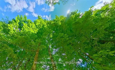 LOT 2 TRILLIUM Lane, Seeley's Bay - Frontenac South image-0-4