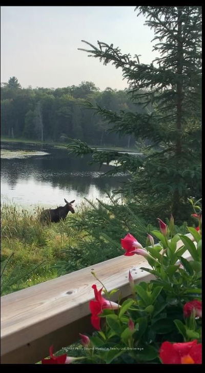 Lot 34 Hwy 520, Whitestone - Dunchurch image-0-1