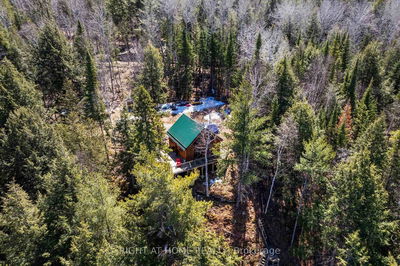 592 Moccasin Lake Rd, Palmer Rapids - Brudenell/Lyndoch/Raglan image-0-2