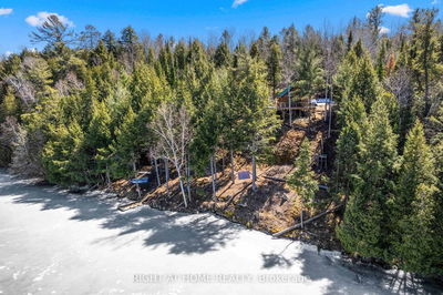 592 Moccasin Lake Rd, Palmer Rapids - Brudenell/Lyndoch/Raglan image-0-3