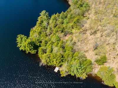 33 Pauls Bay Rd, McDougall - McDougall image-0-1