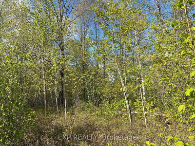 Lot 6 Casson Tr, Barry's Bay - Madawaska Valley
