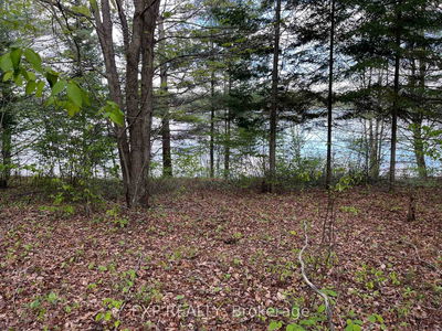 Lot 13 Sandy Shores Tr, Barry's Bay - Madawaska Valley image-0-2